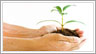 Training & Development Opportunities